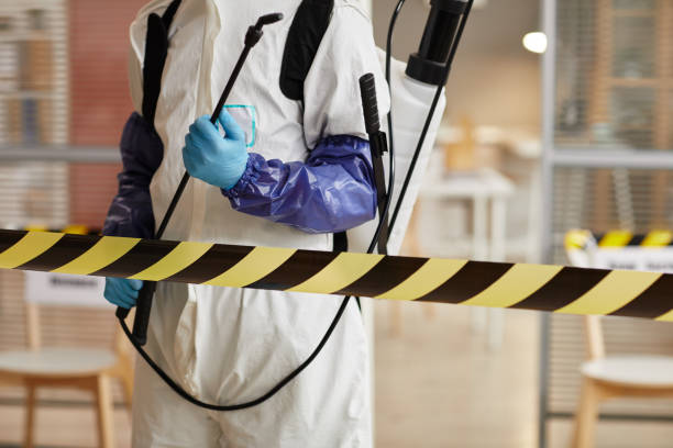 Professional Biohazard Cleanup technician working in Stanton, MI